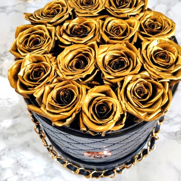 Meet your Posher, Olivia - Picture 1 of 1